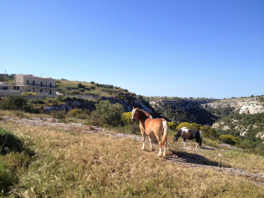 Casa Al Castello Pensionat Ragusa Eksteriør billede
